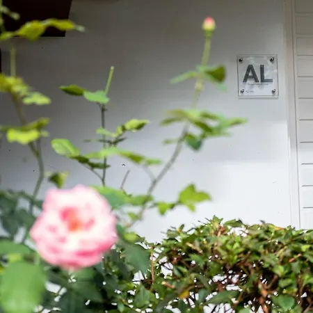 Snooker House Apartment